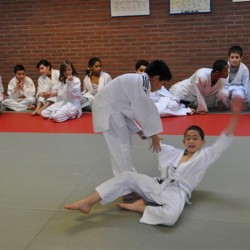 DSC 0124  Medium - Judoclub Zaventem 